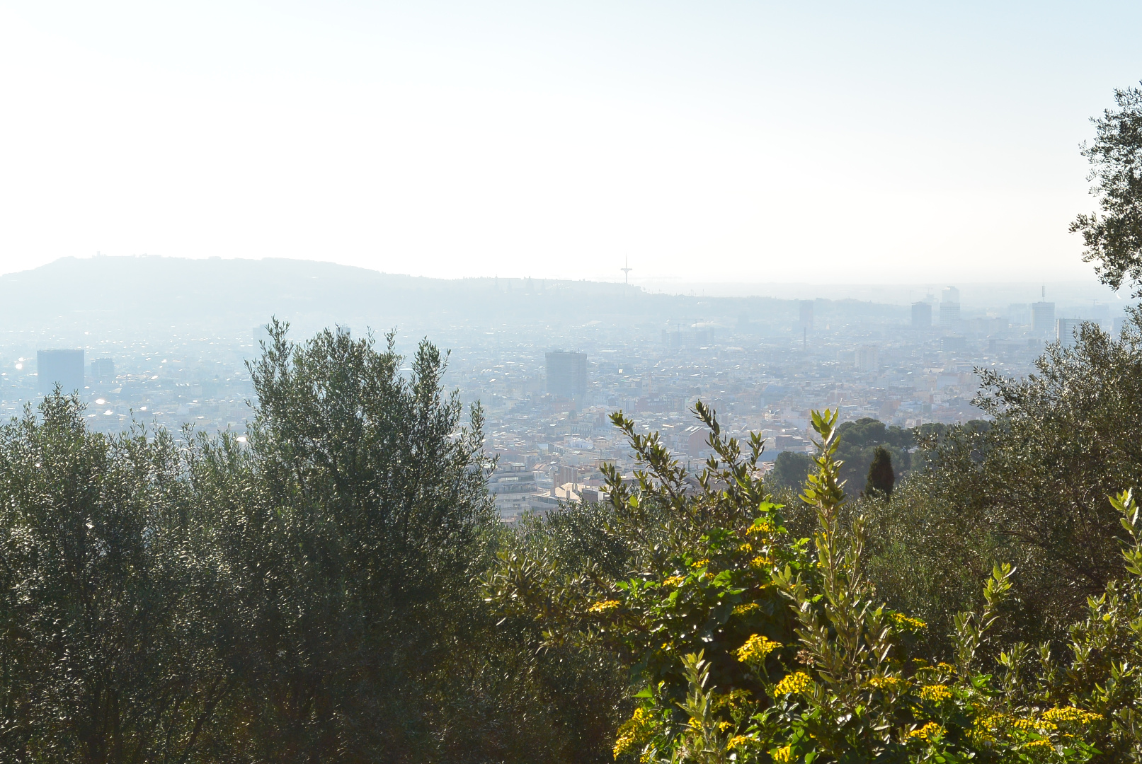 Espagne 261218 301218  199